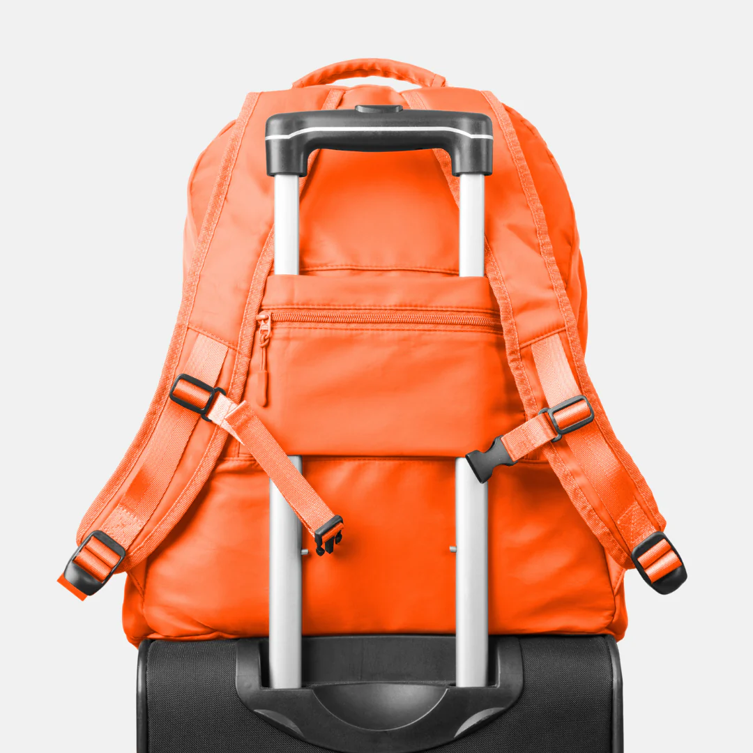 Product image 101